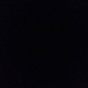 Meet your Posher, Savannah